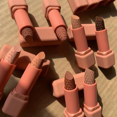 China Waterproof No Logo Brand Name Waterproof Lipstick Maker Matte Lip Stick 8 Color Pink Tube for sale