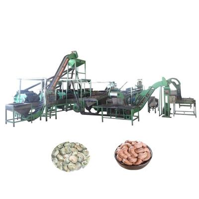 China Snacks Factory Automatic Cashew Nut Sorting Boiling Shelling Peeling Processing Machine for sale