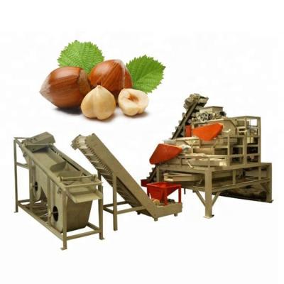 China Snack Factory Maker Hazelnut Processing Production Factory Equipment for sale