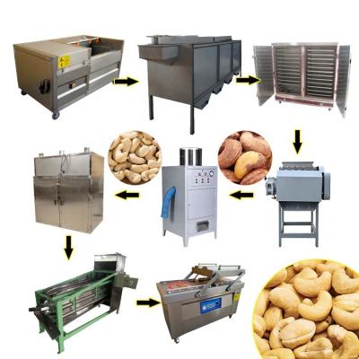 China Snack Factory Cocoa Seed Cashew Nuts Automatic Raw Kernel Processing Machine for sale