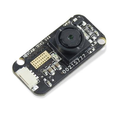 China Driver Free Mini CMOS Face Recognition Camera Module Min Resolution 20*240 120fps for sale