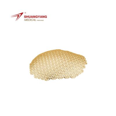 China Pure Titanium Anatomical Cloud Shape Orthopedic Cranial Plate And Screw Implant Titanium Mesh for sale