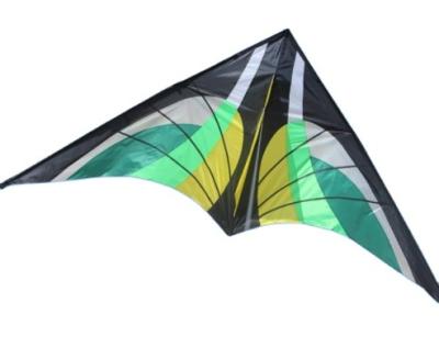 China Green Triangle Direct Wholesale Outdoor Bird Kite New Game Type Toys Kites Topside Protection Factory For Children for sale