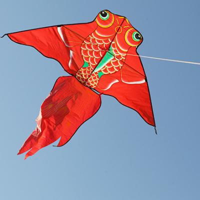 China Linekind Delta Toys Professional and High Quality Outdoor Upper Parts Protection Twin Flying Stunt Kite Outdoor for sale