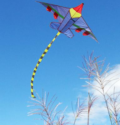 China Custom factory wholesale price concessions protective upper parts child flight display airplane kite for sale