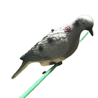 China Newest Waterproof PE Plastic Pigeon Bird Hunting Decoy For Garden Decoration for sale