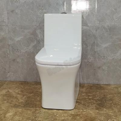 China Dual-Flush Hot Selling in The Middle East Wash down One Piece Toilet S Trap 250mm Ceramic Bathroom Wc Toilet for sale