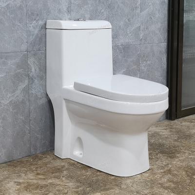 China Dual-Flush Middle East Hot Selling Washdown One Piece Toilet Bowl S Trap 250mm Toota 4inch Wc Bathroom  Toilet for sale