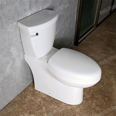 China Dual-Flush Hot selling south america modern toilets ceramic sanitary ware close couple two piece water closet toilet with side lever for sale