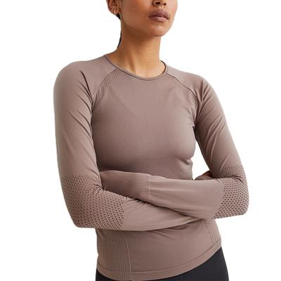 China Anti-Wrinkle Latest Design Long-sleeves Seamless Crew Neck Yoga Top Tee For Women for sale