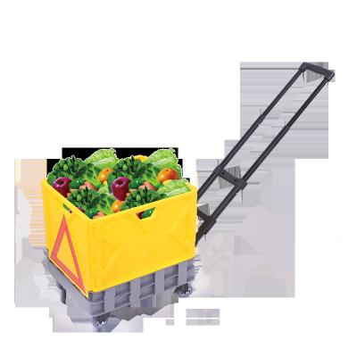 China Folding Factory Camp 2Wheel Trolly Foldable Shopping Basket Cart Popular America Metal Cart Supermarket Trolleys for sale