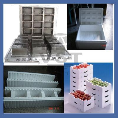 China High quality plant box mold/aluminum fruit basket ENV mold for sale