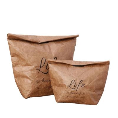 China Eco Waterproof Brown Reusable Insulated Thermal Tyvek Dupont Kraft Paper Lunch Bag For Food Men Women Work School Picnic for sale