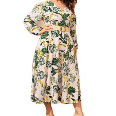 China Anti-Static Plus Size Ladies Fashion Spring Leisure Printing New Dress for sale