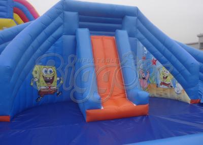 China Brazil CE Residential Inflatable Water Slides Crocodile For Aqua Park for sale