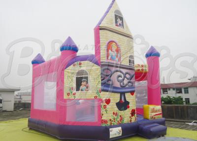 China Custom The Princess Inflatable Combo Bouncer For Frozen Anna Elsa In House for sale