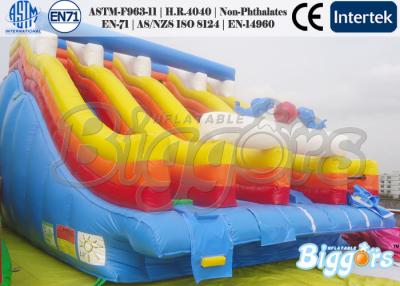 China Rainbow Inflatable Water Slide And Water Pool , Inflatable Water Park For Adults for sale