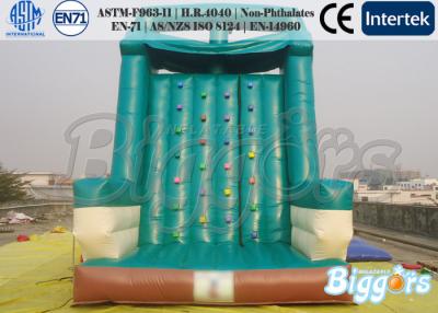 China Double Side Inflatable Sports Games / Inflatable Climbing Mountain For Kids Or Adults for sale