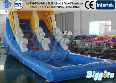 China El océano del parque de atracciones embroma la diapositiva inflable, PVC colorido que despide juegos en venta