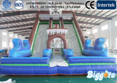 China Amusement Park Jumping Games Skull Inflatable Slides Double Lane Bouncer for sale