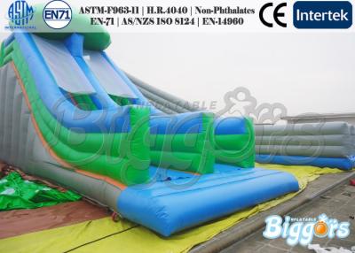 China Dry Kids Inflatable Slides Multilane Fun Slipping Game Park Rental for sale