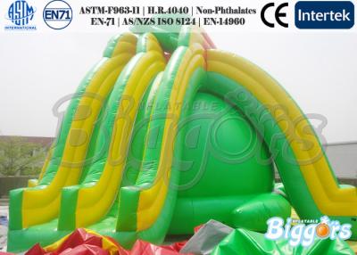 China Ausement Park Kids Inflatable Water SlideTurtle with Climbing Ladder for sale