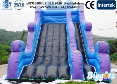 Cina 18oz il PVC Playgound all'aperto scherza lo scivolo gonfiabile, impermeabilizza/a prova di puntura in vendita