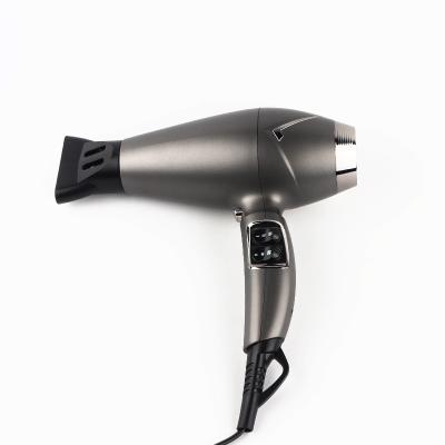 China Wholesale Ionic Factory Stand Best 1800-2100W Wall Mounted Professional Hair Dryer for sale