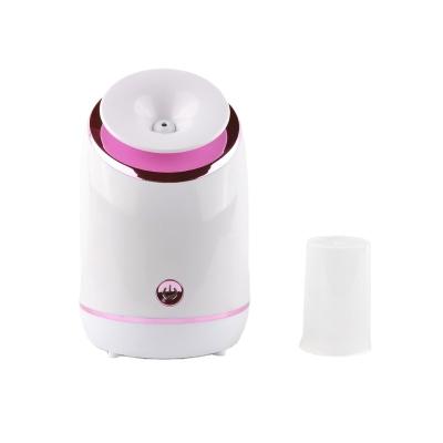 China Commercial Sauna Facial Moisturizer Nano Ionic Facial Steamer for sale