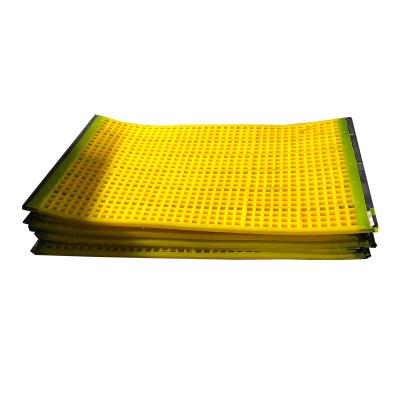 China Separating And Screening Polyurethane Screen Plate Vibrating Composite Polyurethane Screen Plate for sale