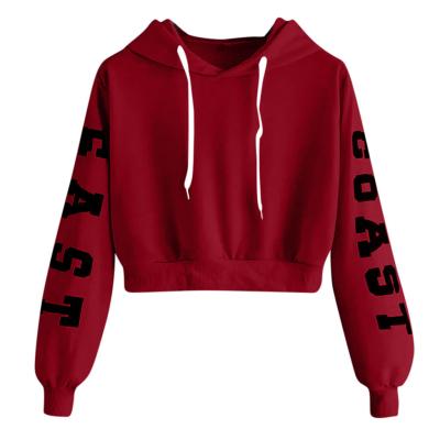 China Sustainable Wholesale Hoodie Customize Logo Multicolor Comfortable Casual Fashion And Breathable Long Sleeve Hoodie for sale