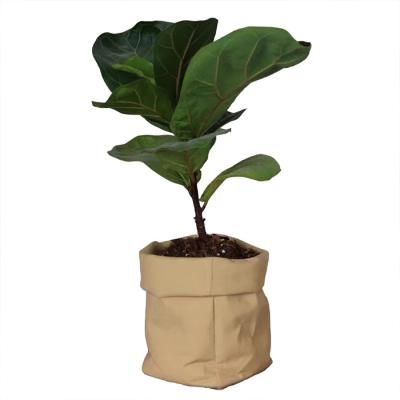 China Minimalist Creative Kraft Paper Bag Design Concrete Garden Flower Planter for sale