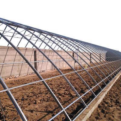 China Flower Horticulture Agriculture Single-Span Film Greenhouse for sale