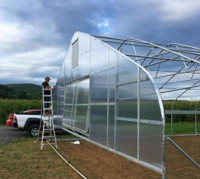 China Vegetable Fruit Flowers Galvanized Steel Frame Single Span PE Film Greenhouse For Agriculture Low Cost Tunnel Greenhouse For Flower Plant for sale