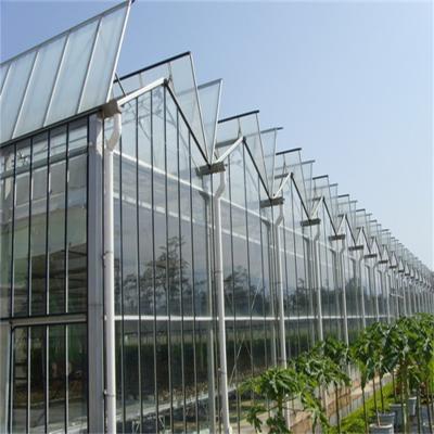 China Green House Glass-Glass Greenhouses Greenhouse Victorian Greenhouse Construction Greenhouse for sale