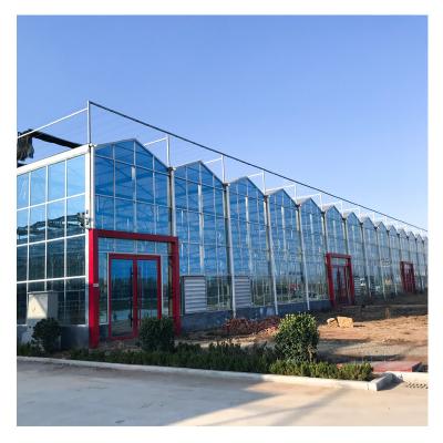 China Agriculture Planting Low Cost Agricultural Hydroponic Glass Greenhouse For Strawberry/Tomato/Lettuce/Cucumber Growing for sale