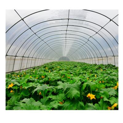 China Stable Structure Easily Assembled Hot Sale Solar Agricultural Greenhouse Structure Plastic Film Multi Span Greenhouse for sale