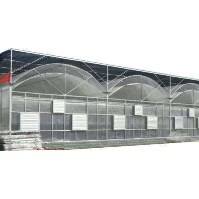 China PE Customized Multi-span Arch Type Agricultural Green PE/Po Plastic Film House With Hydroponics System For Tomato for sale