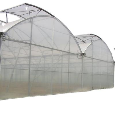 China Manufacturers Galvanized Multi-Span Tomato Professional Steel Structure Green House Agricultural Greenhouse for sale