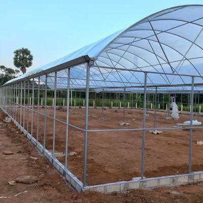 China Steel Frame Film Galvanized Single Span PE Film Greenhouse For Agriculture Tunnel Greenhouse For Flower Factory for sale