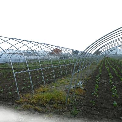 China Fruits Metal Frame Galvanized Steel Pipe Greenhouses Tunnel Cultivating Single Span Greenhouse Agriculture for sale