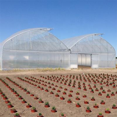 China Low Cost Commercial China Plastic PE Other Multi-span Agricultural Greenhouses With Hydroponic System for sale