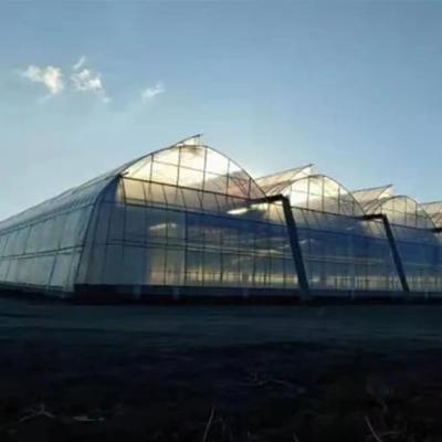 China High PE Greenhouse Tunnel Commercial Used Agricultural Green House Tropical Maker For Seedling for sale