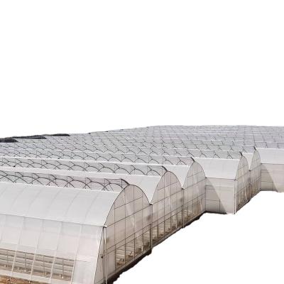 China PE Greenhouse 60mm Pipe Round Multi-Span Agricultural Used Plastic Sheet Gothic Greenhouses For Sale for sale