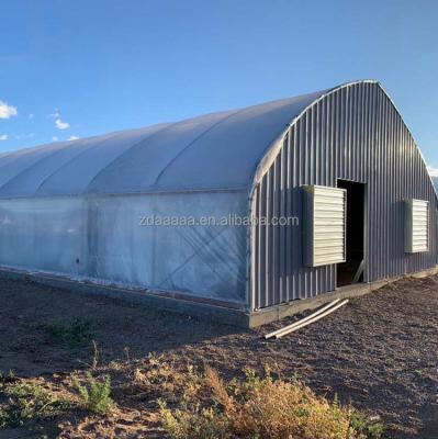 China PE Qualified Plant Nursery Tunnel Commercial Greenhouse Blackout for sale