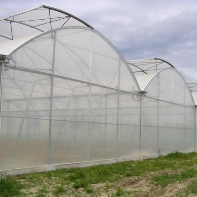 China Transparent Multi-span 200micro LDPE Film Greenhouse Greenhouse Film Greenhouses For Tomato Cucumber Hydroponics for sale