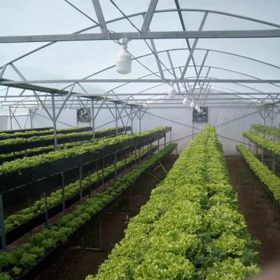 China Cheap Wholesale Commercial Stable Structure Tunnel Greenhouse For Vegetable Greenhouse Making Greenhouse Kit for sale