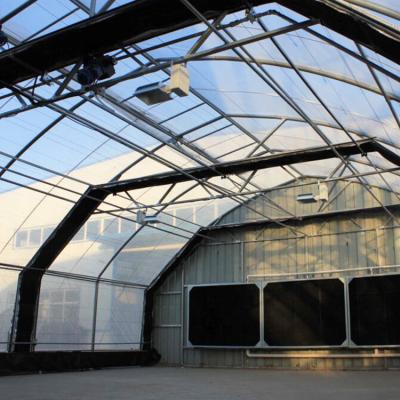 China In Stock Quick Dispat in Dispat low cost plastic sheet polytunnel green house single-span stock quick vanilla grow greenhouse for agriculture for sale