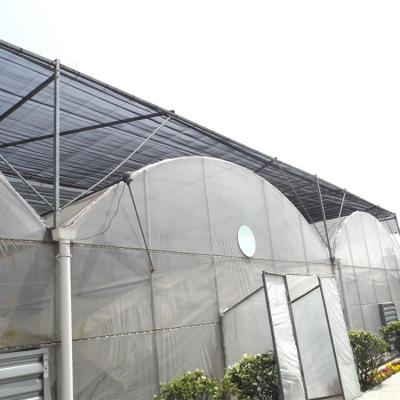 China High Quality Clear PE Plastic Film Multi-span Greenhouses With Hydroponic Seed Growing for sale