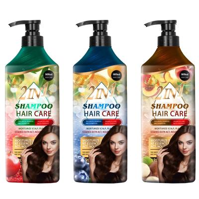 China Refreshing Factory Wholesale 820mL Organic Hair Black Hair Growth Shampoo For Sale for sale